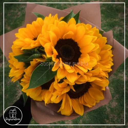 Alternative view of Ramos de girasoles