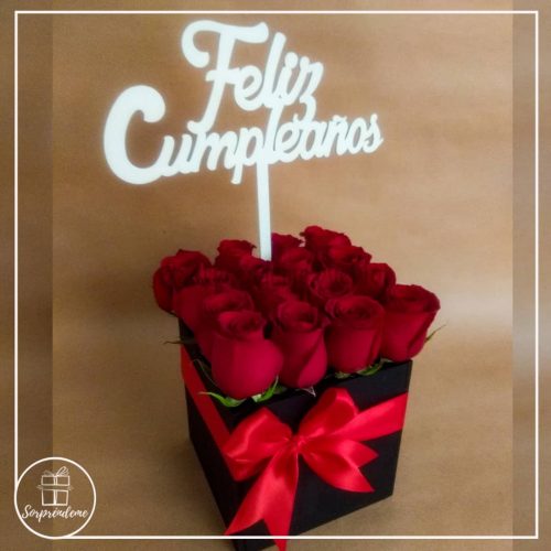Alternative view of Cubo con rosas